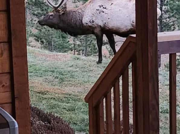 96 Lone Wolf Rd, Loveland, CO 80537