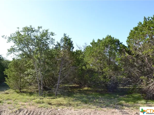 18 Lampasas River Pl, Kempner, TX 76539