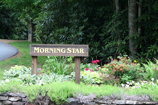 2nd image of Tbd Morning Star