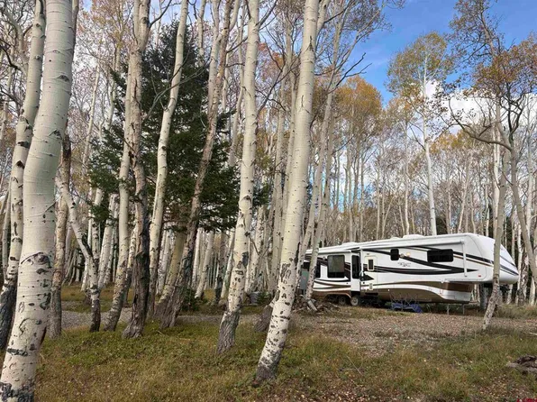 1204 Hazel Lake Drive, Cimarron, CO 81220