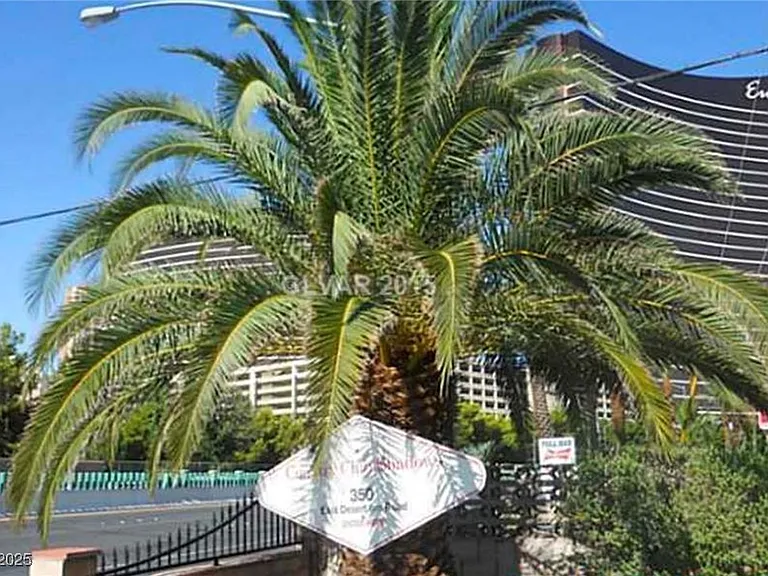 350 E Desert Inn Rd #C203 — Photo 35