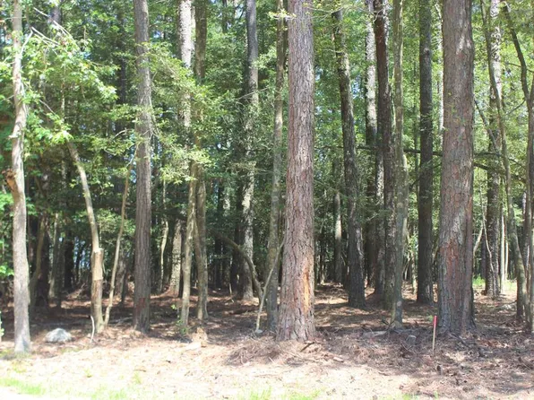 559 Sloop Ct, Greenbackville, VA 23356