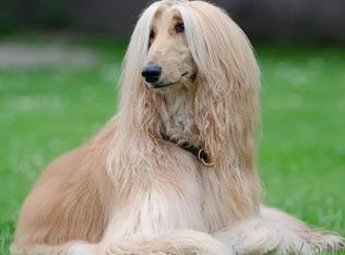 456 Example Rd #A, Los Angeles, CA 90001