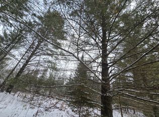 1111 E Vandercook Rd, Mikado, MI 48745