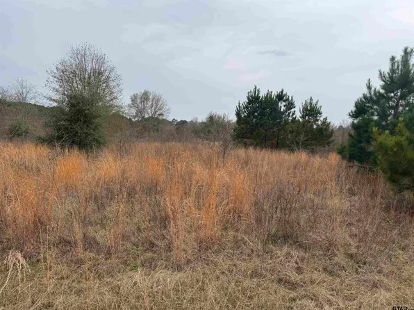 1335 San Saba St, Bullard, TX 75757