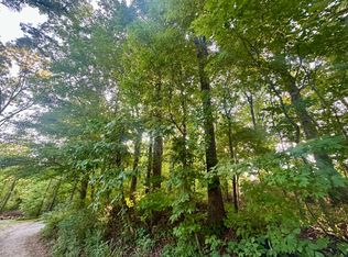 1AC Reed Strickland Ln, Spring City, TN 37381