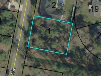 64 Zebulahs Trl, Palm Coast, FL, 32164