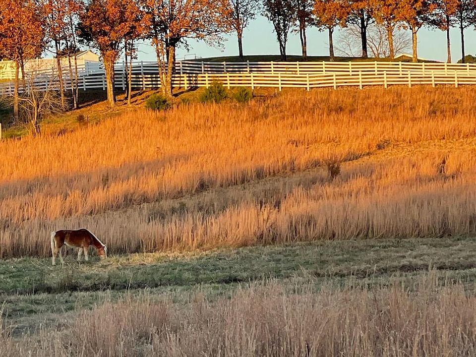 1st image of 520 Lowe Rd