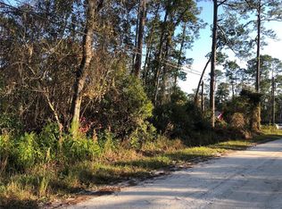1545 10th Ave LOT 13, Deland, FL 32724