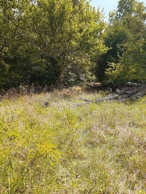 2nd image of 16 Apple Ln