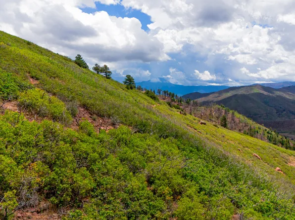 LOT 10 La Veta Acres, La Veta, CO 81055