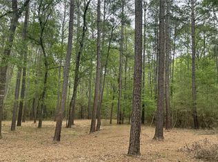 2 & 3 Remington Rd, Huntsville, TX 77340