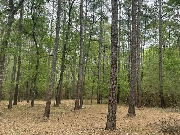 2 & 3 Remington Rd, Huntsville, TX 77340