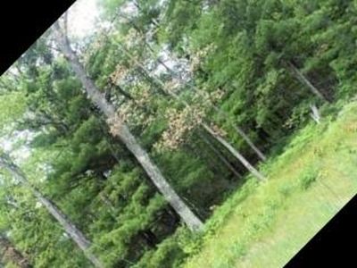 0 Stewart, Idlewild, MI, 49642