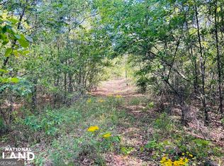 0 Mount Sinai Church Rd, Butler, GA 31006