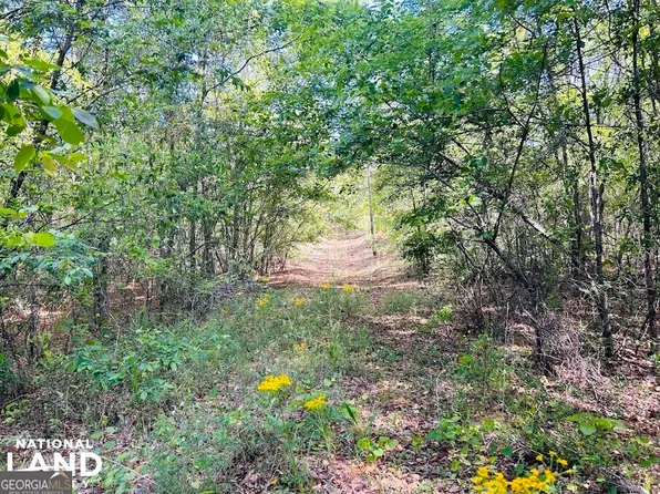 0 Mount Sinai Church Rd, Butler, GA 31006