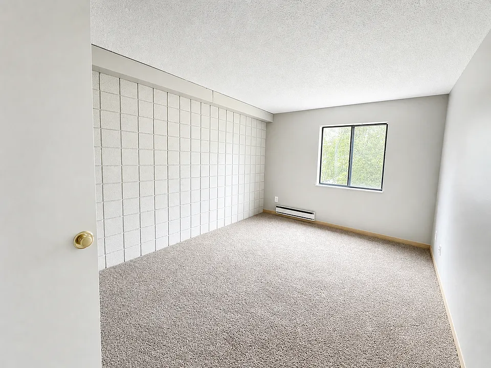 Carpeted 1 BR
