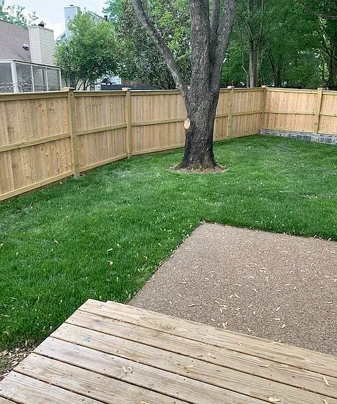 Back yard with new sod