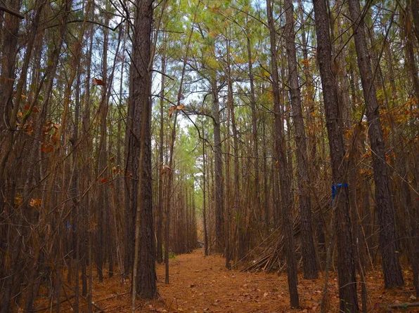 LOT 44 Mustang Dr, Clinton, AR 72031