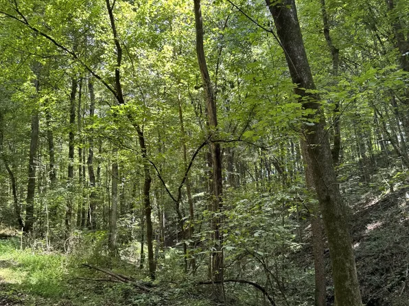 0 Albert Fentress Rd, Greenbrier, TN 37073