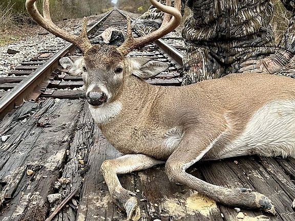 45th image of this home