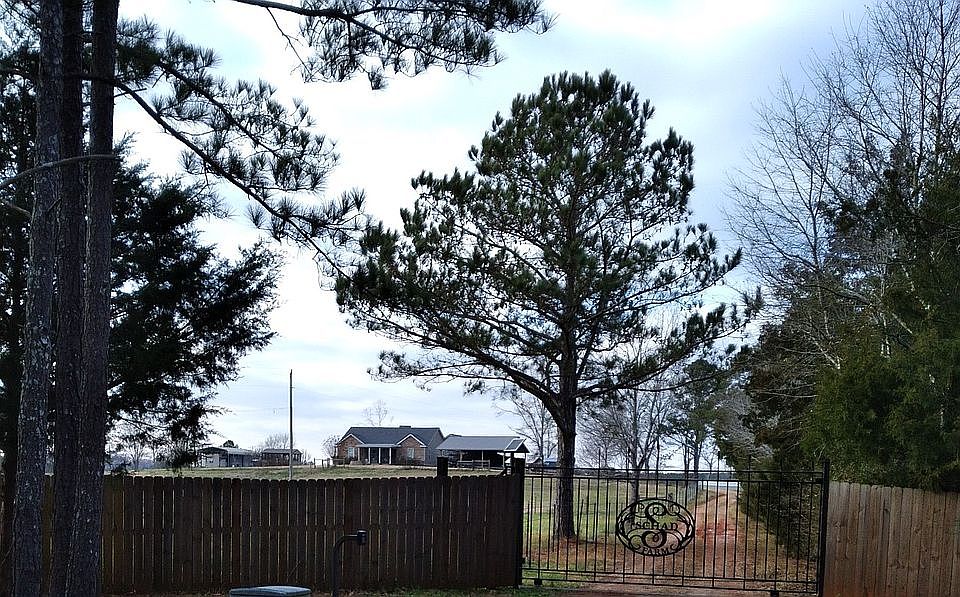 Security gate entrance