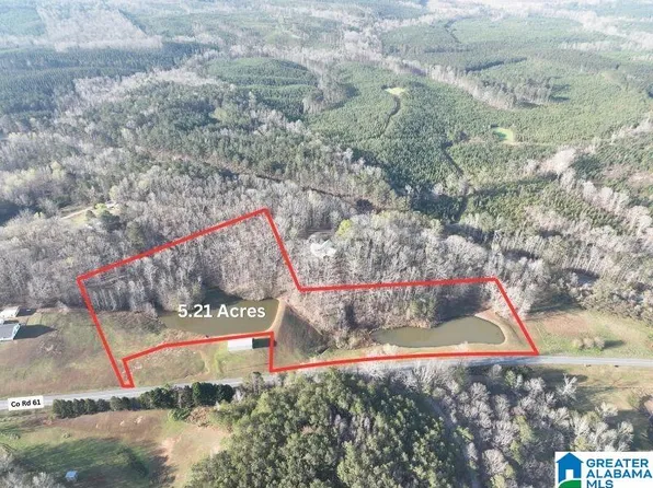 521ACRE S County Road 61, Roanoke, AL 36274
