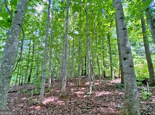 Falling Pines Rd, Dahlonega, GA 30533