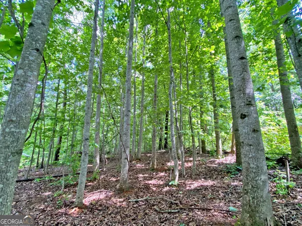 Falling Pines Rd, Dahlonega, GA 30533