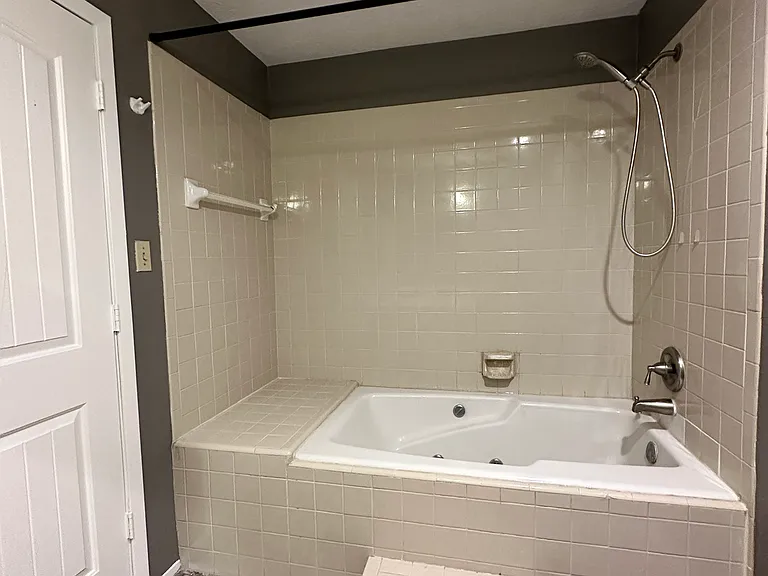 Master Bathroom - View 3
