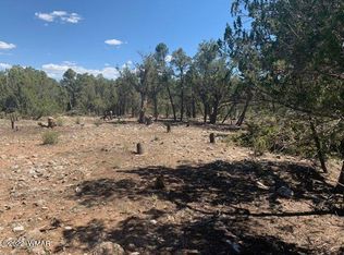 LOT Trailblazer Dr #B, Overgaard, AZ 85933