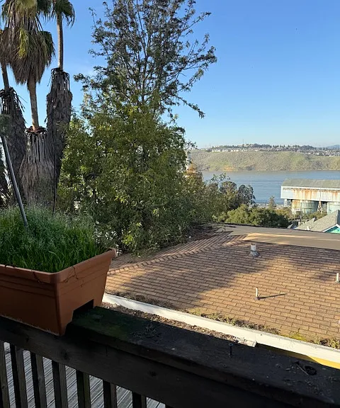 702 Edwards St #702 — Photo 7