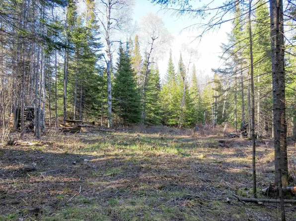 435 Cramer Rd, Schroeder, MN 55613