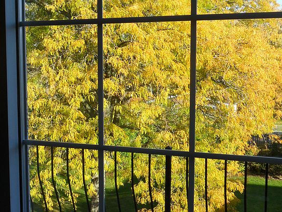 Balcony View - Courtyard