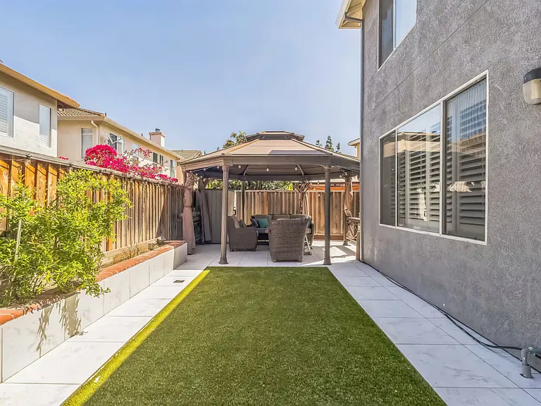 Backyard - Grass