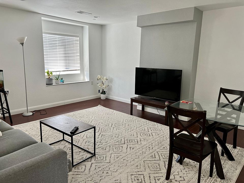 Living room with two large windows