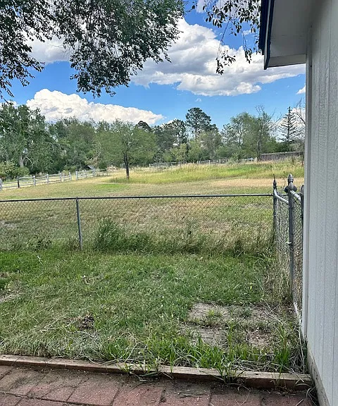 Back yard