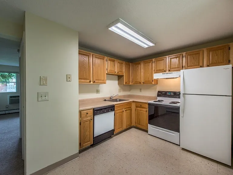 Kitchen with Wooden Cabinets