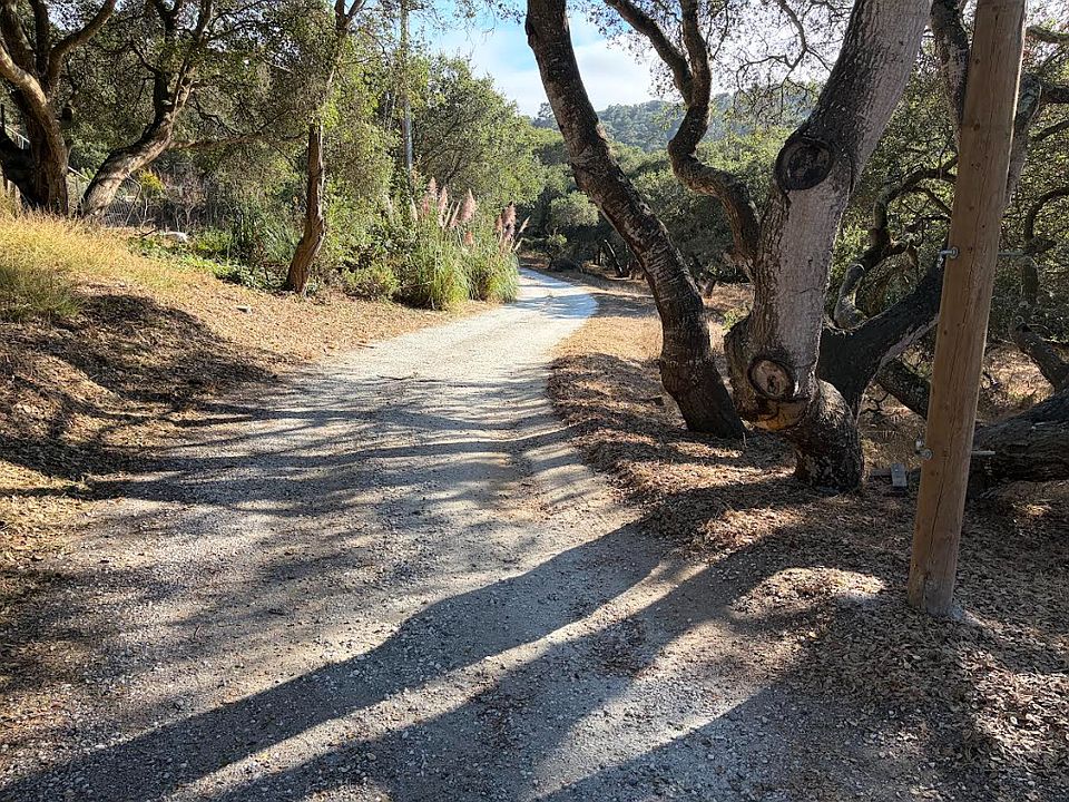 2nd image of 16919 Forrest LN