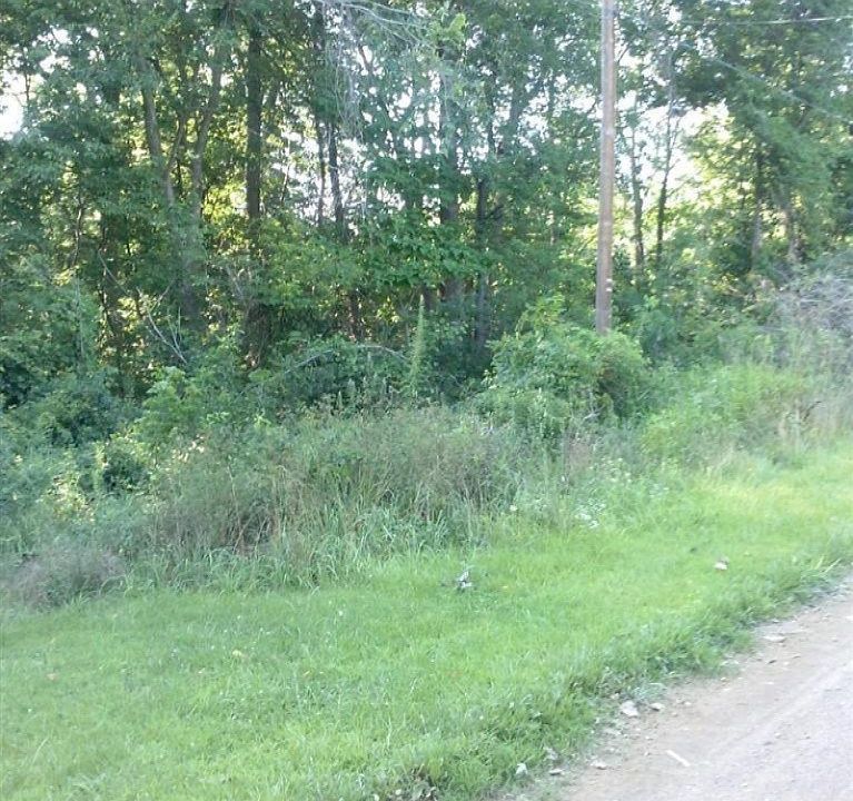 2nd image of Adams Rd