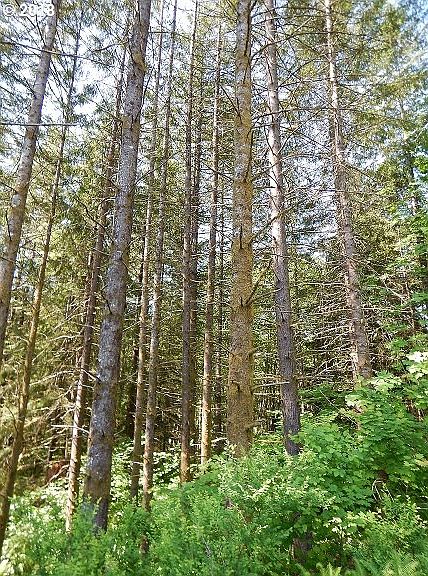 2nd image of 0 NE Rotschy Mill Rd