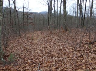 21 Thunder Rd, Hayesville, NC 28904