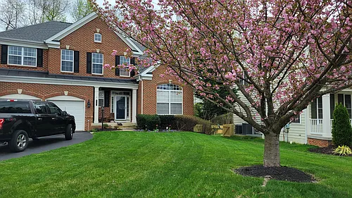 10692 Tattersall Dr Photo 1