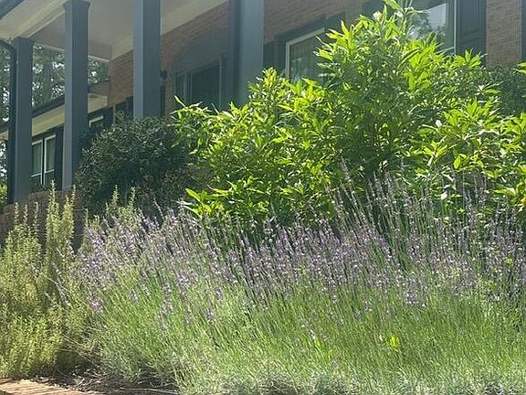 5th image of 102 Canterbury Road