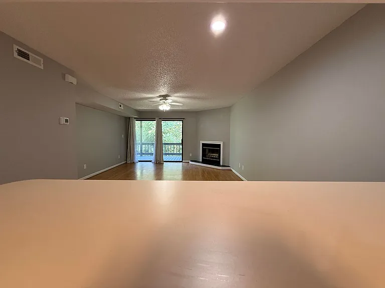 1312 Twin Springs Ct — Photo 11