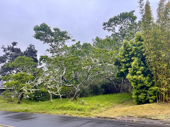2nd image of 99-1945 Pukeawe Cir Lot 220