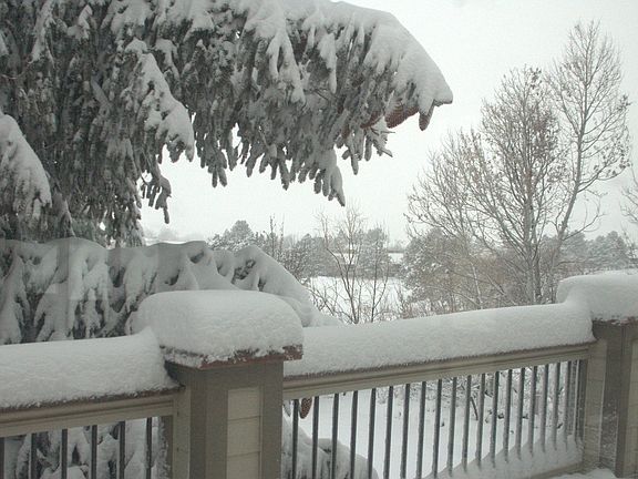 Snow on the Deck