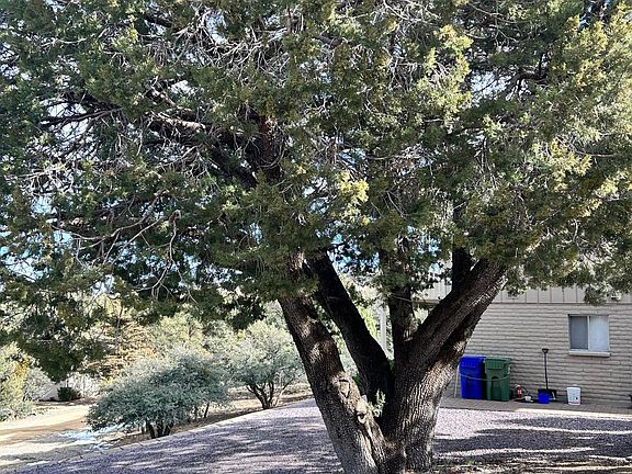 Pretty Juniper next to off street parking area. One vehicle allowed.