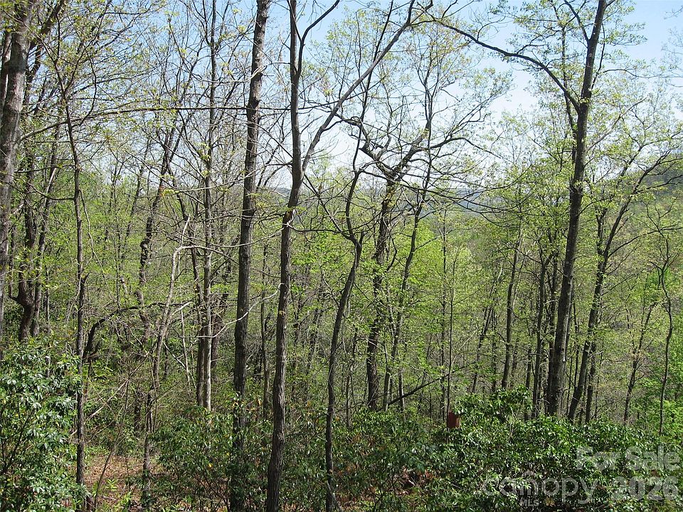 1st image of 313 Line Runner Ridge Rd