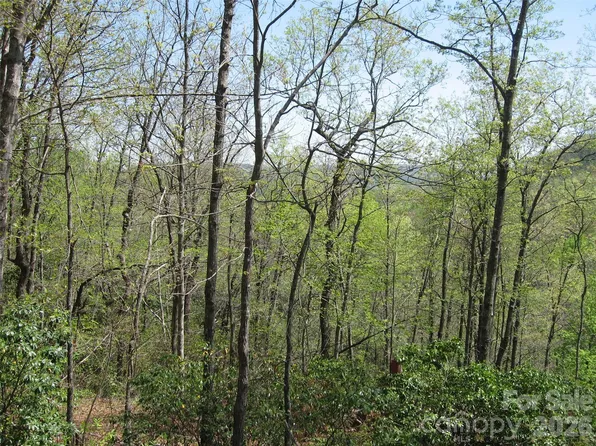 313 Line Runner Ridge Rd, Rosman, NC 28772